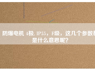 防爆電機(jī) 4極, IP55，F(xiàn)級(jí)，這幾個(gè)參數(shù)都是什么意思呢？