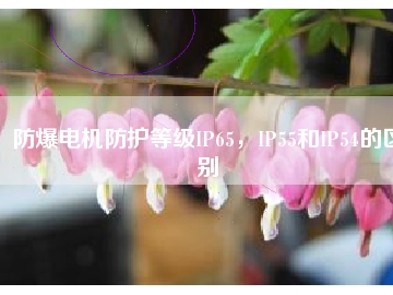 防爆電機防護(hù)等級IP65，IP55和IP54的區(qū)別