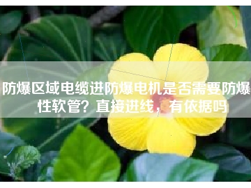 防爆區(qū)域電纜進(jìn)防爆電機(jī)是否需要防爆撓性軟管？直接進(jìn)線，有依據(jù)嗎