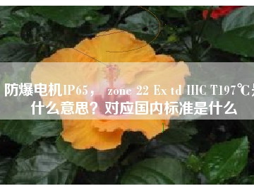 防爆電機(jī)IP65， zone 22 Ex td IIIC T197℃是什么意思？對(duì)應(yīng)國(guó)內(nèi)標(biāo)準(zhǔn)是什么