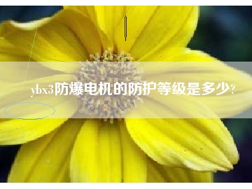 ybx3防爆電機的防護(hù)等級是多少?