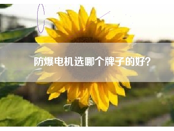 防爆電機(jī)選哪個(gè)牌子的好？