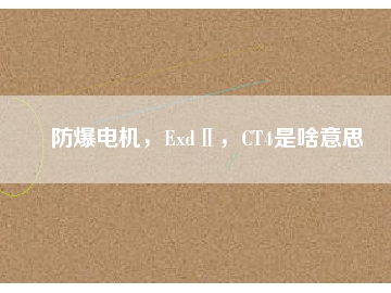 防爆電機(jī)，ExdⅡ，CT4是啥意思