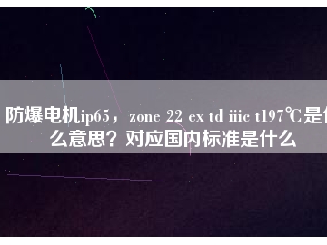 防爆電機(jī)ip65，zone 22 ex td iiic t197℃是什么意思？對(duì)應(yīng)國(guó)內(nèi)標(biāo)準(zhǔn)是什么