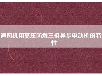 通風(fēng)機(jī)用高壓防爆三相異步電動機(jī)的特殊性