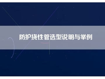 防護(hù)撓性管選型說明與舉例