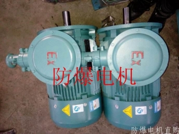防爆電機分類：防爆電機選型、參數(shù)、定義
