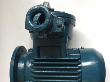 安裝使用防爆電機(jī)前一定要檢查這些內(nèi)容