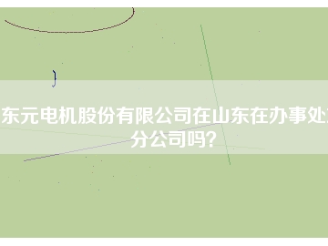 東元電機股份有限公司在山東在辦事處或分公司嗎？