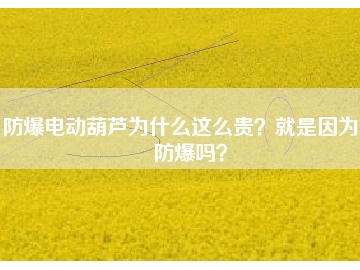 防爆電動(dòng)葫蘆為什么這么貴？就是因?yàn)槟芊辣瑔幔?></div>
                            <div   id=