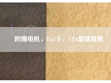 防爆電機，ExdⅡ，CT4是啥意思