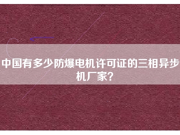中國有多少防爆電機(jī)許可證的三相異步電機(jī)廠家？