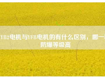 YB2電機(jī)與YFB電機(jī)的有什么區(qū)別，哪一種防爆等級高