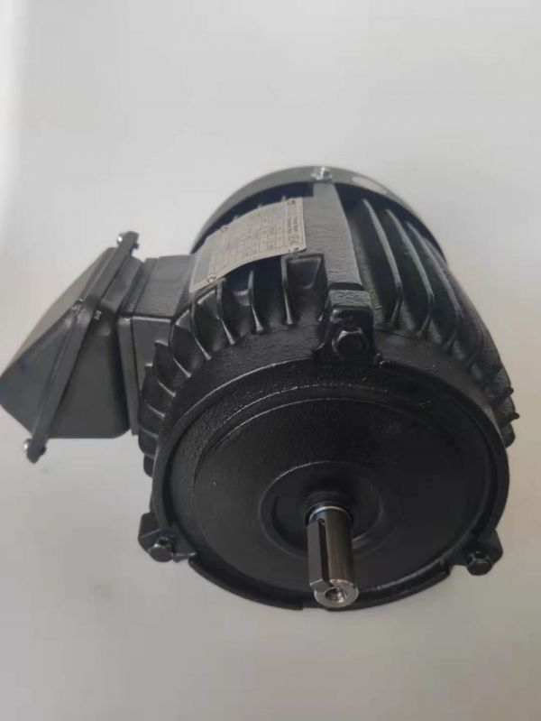 永磁電機(jī) DVEX  185KW  3000RPM  F#280S IE4效率電機(jī)