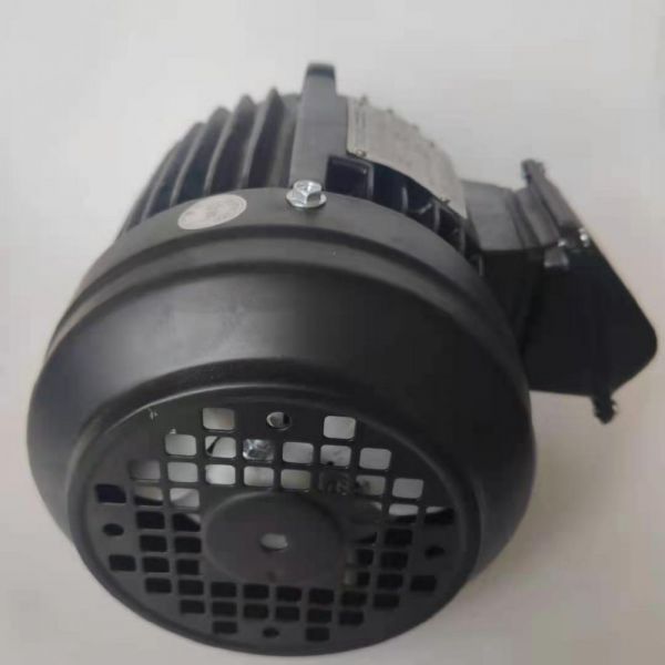 永磁電機(jī) DVEX  185KW  3000RPM  F#280S IE4效率電機(jī)