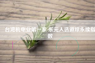 臺灣機電業(yè)第一家 東元入選道瓊永續(xù)指數(shù)