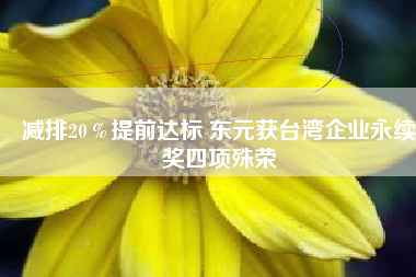減排20％提前達標 東元獲臺灣企業(yè)永續(xù)獎四項殊榮