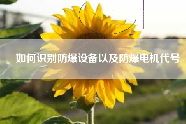 如何識(shí)別防爆設(shè)備以及防爆電機(jī)代號(hào)