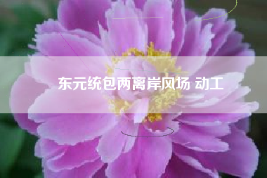 東元統(tǒng)包兩離岸風(fēng)場(chǎng) 動(dòng)工