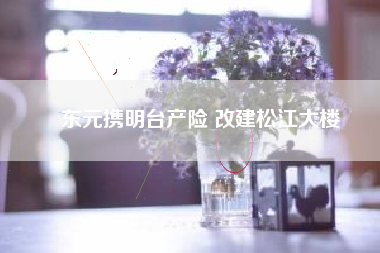 東元攜明臺產(chǎn)險 改建松江大樓