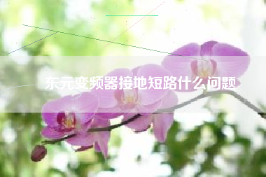 東元變頻器接地短路什么問(wèn)題