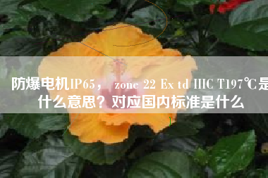 防爆電機(jī)IP65， zone 22 Ex td IIIC T197℃是什么意思？對(duì)應(yīng)國內(nèi)標(biāo)準(zhǔn)是什么