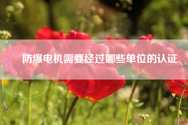 防爆電機需要經(jīng)過哪些單位的認證