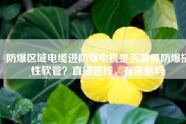 防爆區(qū)域電纜進防爆電機是否需要防爆撓性軟管？直接進線，有依據(jù)嗎