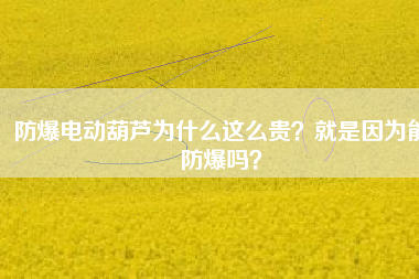 防爆電動葫蘆為什么這么貴？就是因為能防爆嗎？
