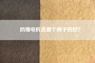 防爆電機(jī)選哪個(gè)牌子的好？