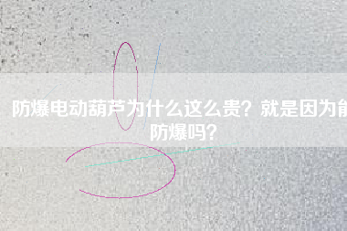 防爆電動(dòng)葫蘆為什么這么貴？就是因?yàn)槟芊辣瑔幔? title=