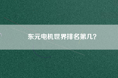 東元電機(jī)世界排名第幾？