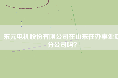 東元電機股份有限公司在山東在辦事處或分公司嗎？
