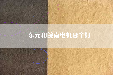 東元和皖南電機(jī)哪個(gè)好