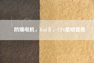 防爆電機，ExdⅡ，CT4是啥意思