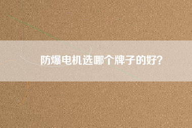 防爆電機選哪個牌子的好？