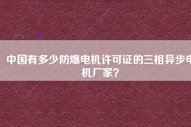 中國(guó)有多少防爆電機(jī)許可證的三相異步電機(jī)廠家？
