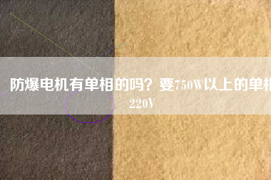 防爆電機(jī)有單相的嗎？要750W以上的單相220V