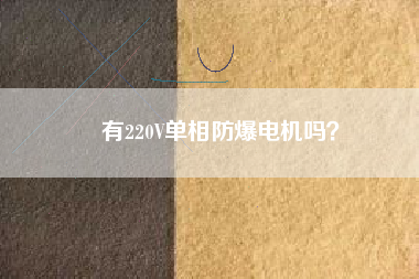 有220V單相防爆電機嗎？