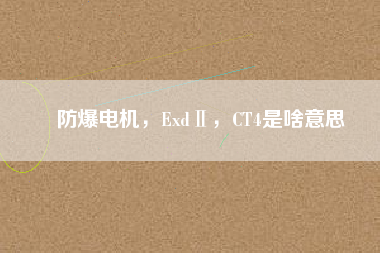 防爆電機，ExdⅡ，CT4是啥意思